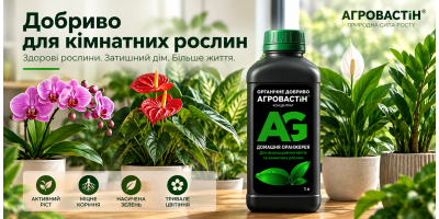 Добриво для кімнатних рослин: яке вибрати та як правильно підживлювати